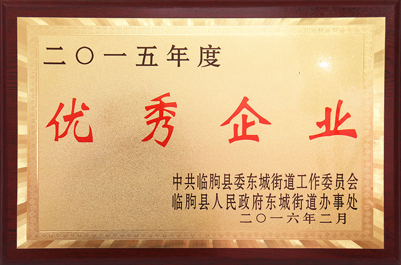 Outstanding Enterprises of 2015