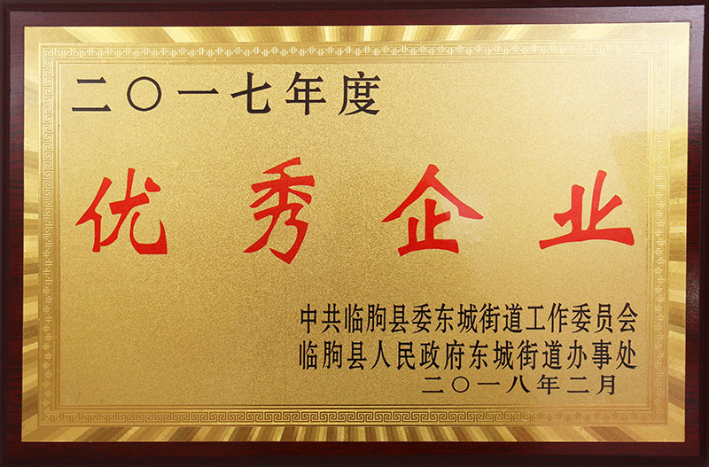 Outstanding Enterprises of 2017
