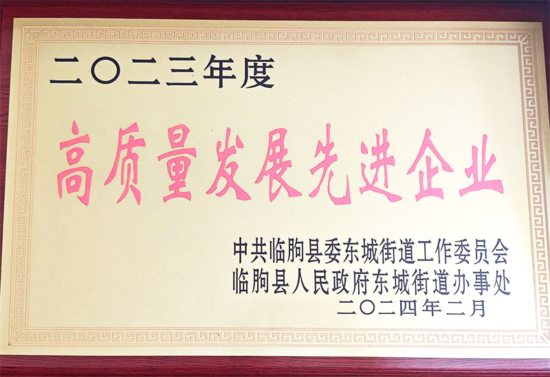 High-quality development of advanced enterprises