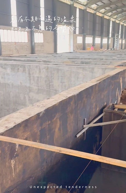 海外全自動生產線，準備進廠安裝