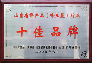 十佳品牌