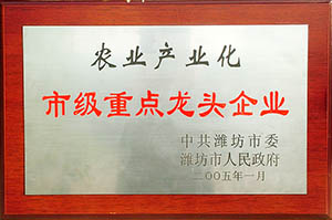 市级重点龙头企业