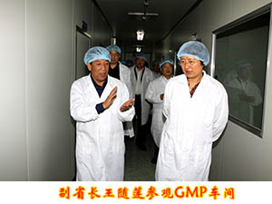 副省长王随莲参观GMP车间