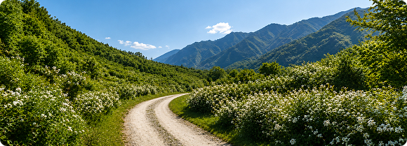 基地实景