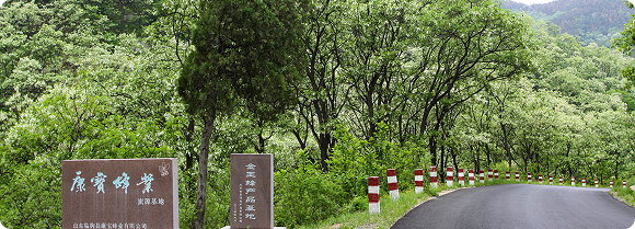 基地实景