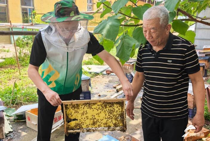 金融护航甜蜜产业！潍坊首单蜜蜂气象指数保险落地临朐