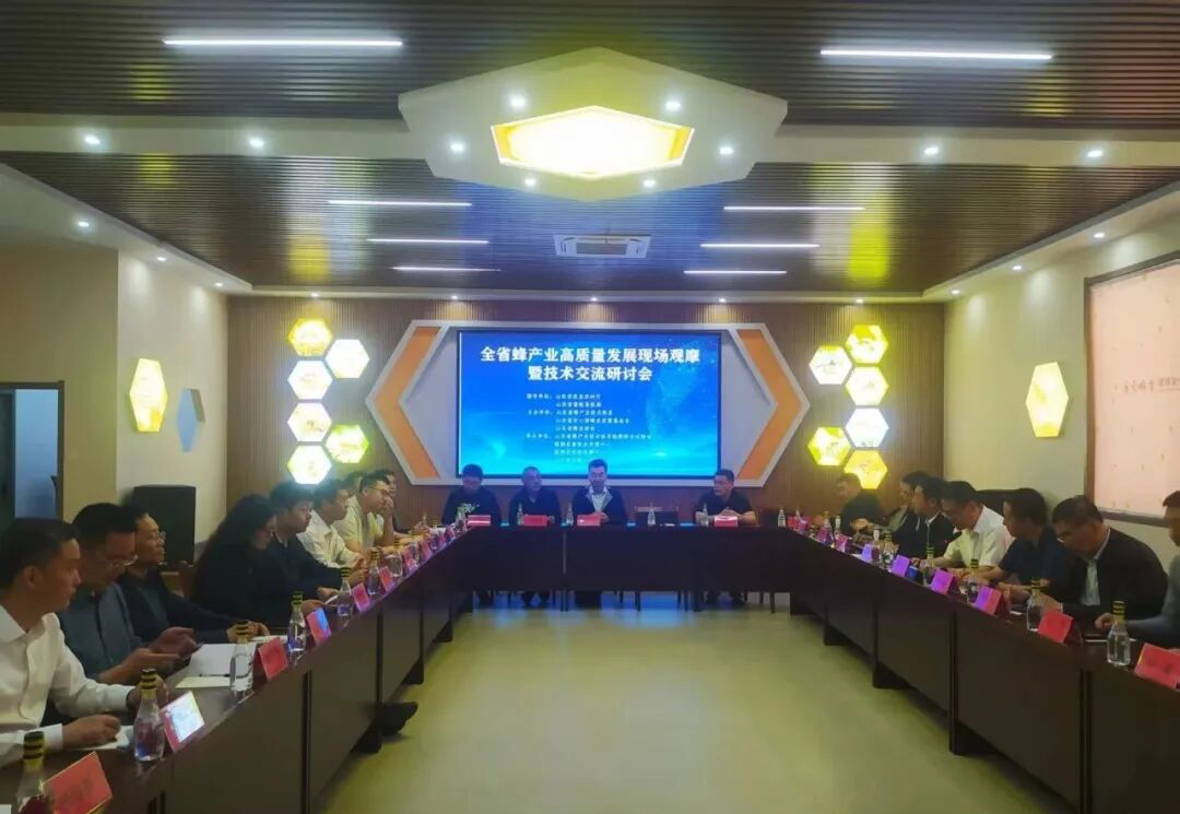 赋能产业提质｜全省蜂产业高质量发展观摩研讨会在临朐举办 康宝蜂业获重点观摩