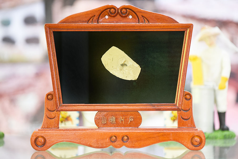 中华蜜蜂化石