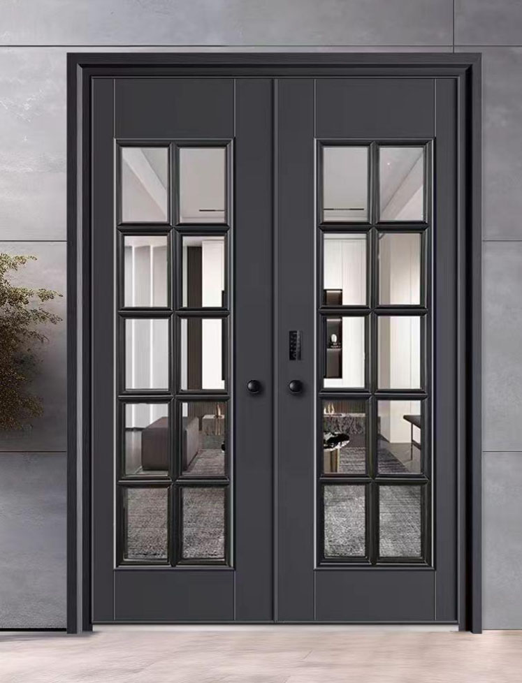 Aluminum Door